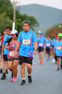 BIB: 8565, 801
                            <button type="button" onclick="openModal(3116588)" class="btn btn-primary btn-sm float-right btn-popup" data-toggle="modal" data-target=".modal-high-quality">
                        <i class="fas fa-shopping-cart"></i> Add to Cart
                    </button>
                                            <button type="button" onclick="isThisMe(3116588, true)" class="btn btn-success btn-sm float-right btn-popup btn-isme hidden" data-toggle="tooltip" data-placement="bottom" title="นี่คือรูปของคุณใช่ไหม คลิกที่นี่เพื่อเอาเข้าอัลบั้ม">
                        <i class="fas fa-plus"></i> Add to album
                    </button>
                    <button type="button" onclick="isThisMe(3116588, false)" class="btn btn-warning btn-sm float-right btn-popup btn-isnotme hidden">
                        <i class="fas fa-ban"></i> Remove from album
                    </button>
