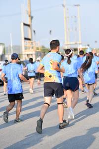 BIB: 
                            <button type="button" onclick="openModal(3206342)" class="btn btn-primary btn-sm float-right btn-popup" data-toggle="modal" data-target=".modal-high-quality">
                        <i class="fas fa-shopping-cart"></i> Add to Cart
                    </button>
                                            <button type="button" onclick="isThisMe(3206342, true)" class="btn btn-success btn-sm float-right btn-popup btn-isme hidden" data-toggle="tooltip" data-placement="bottom" title="นี่คือรูปของคุณใช่ไหม คลิกที่นี่เพื่อเอาเข้าอัลบั้ม">
                        <i class="fas fa-plus"></i> Add to album
                    </button>
                    <button type="button" onclick="isThisMe(3206342, false)" class="btn btn-warning btn-sm float-right btn-popup btn-isnotme hidden">
                        <i class="fas fa-ban"></i> Remove from album
                    </button>