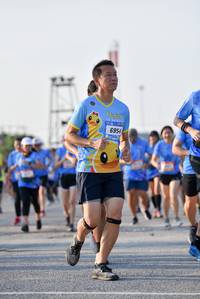 BIB: 6954
                            <button type="button" onclick="openModal(3206135)" class="btn btn-primary btn-sm float-right btn-popup" data-toggle="modal" data-target=".modal-high-quality">
                        <i class="fas fa-shopping-cart"></i> Add to Cart
                    </button>
                                            <button type="button" onclick="isThisMe(3206135, true)" class="btn btn-success btn-sm float-right btn-popup btn-isme hidden" data-toggle="tooltip" data-placement="bottom" title="นี่คือรูปของคุณใช่ไหม คลิกที่นี่เพื่อเอาเข้าอัลบั้ม">
                        <i class="fas fa-plus"></i> Add to album
                    </button>
                    <button type="button" onclick="isThisMe(3206135, false)" class="btn btn-warning btn-sm float-right btn-popup btn-isnotme hidden">
                        <i class="fas fa-ban"></i> Remove from album
                    </button>