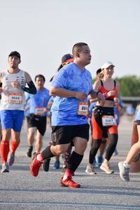 BIB: 9666, 8644, 667
                            <button type="button" onclick="openModal(3204903)" class="btn btn-primary btn-sm float-right btn-popup" data-toggle="modal" data-target=".modal-high-quality">
                        <i class="fas fa-shopping-cart"></i> Add to Cart
                    </button>
                                            <button type="button" onclick="isThisMe(3204903, true)" class="btn btn-success btn-sm float-right btn-popup btn-isme hidden" data-toggle="tooltip" data-placement="bottom" title="นี่คือรูปของคุณใช่ไหม คลิกที่นี่เพื่อเอาเข้าอัลบั้ม">
                        <i class="fas fa-plus"></i> Add to album
                    </button>
                    <button type="button" onclick="isThisMe(3204903, false)" class="btn btn-warning btn-sm float-right btn-popup btn-isnotme hidden">
                        <i class="fas fa-ban"></i> Remove from album
                    </button>