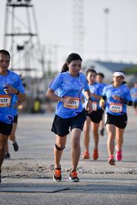 BIB: 
                            <button type="button" onclick="openModal(3204495)" class="btn btn-primary btn-sm float-right btn-popup" data-toggle="modal" data-target=".modal-high-quality">
                        <i class="fas fa-shopping-cart"></i> Add to Cart
                    </button>
                                            <button type="button" onclick="isThisMe(3204495, true)" class="btn btn-success btn-sm float-right btn-popup btn-isme hidden" data-toggle="tooltip" data-placement="bottom" title="นี่คือรูปของคุณใช่ไหม คลิกที่นี่เพื่อเอาเข้าอัลบั้ม">
                        <i class="fas fa-plus"></i> Add to album
                    </button>
                    <button type="button" onclick="isThisMe(3204495, false)" class="btn btn-warning btn-sm float-right btn-popup btn-isnotme hidden">
                        <i class="fas fa-ban"></i> Remove from album
                    </button>