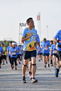 BIB: 6954
                            <button type="button" onclick="openModal(3206075)" class="btn btn-primary btn-sm float-right btn-popup" data-toggle="modal" data-target=".modal-high-quality">
                        <i class="fas fa-shopping-cart"></i> Add to Cart
                    </button>
                                            <button type="button" onclick="isThisMe(3206075, true)" class="btn btn-success btn-sm float-right btn-popup btn-isme hidden" data-toggle="tooltip" data-placement="bottom" title="นี่คือรูปของคุณใช่ไหม คลิกที่นี่เพื่อเอาเข้าอัลบั้ม">
                        <i class="fas fa-plus"></i> Add to album
                    </button>
                    <button type="button" onclick="isThisMe(3206075, false)" class="btn btn-warning btn-sm float-right btn-popup btn-isnotme hidden">
                        <i class="fas fa-ban"></i> Remove from album
                    </button>