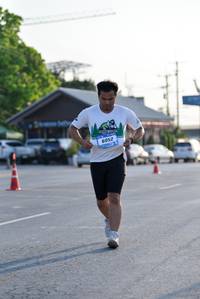 BIB: 
                            <button type="button" onclick="openModal(3211234)" class="btn btn-primary btn-sm float-right btn-popup" data-toggle="modal" data-target=".modal-high-quality">
                        <i class="fas fa-shopping-cart"></i> Add to Cart
                    </button>
                                            <button type="button" onclick="isThisMe(3211234, true)" class="btn btn-success btn-sm float-right btn-popup btn-isme hidden" data-toggle="tooltip" data-placement="bottom" title="นี่คือรูปของคุณใช่ไหม คลิกที่นี่เพื่อเอาเข้าอัลบั้ม">
                        <i class="fas fa-plus"></i> Add to album
                    </button>
                    <button type="button" onclick="isThisMe(3211234, false)" class="btn btn-warning btn-sm float-right btn-popup btn-isnotme hidden">
                        <i class="fas fa-ban"></i> Remove from album
                    </button>