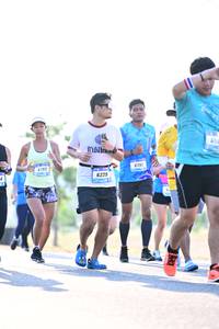 BIB: 6193, 6192, 6229
                            <button type="button" onclick="openModal(3402144)" class="btn btn-primary btn-sm float-right btn-popup" data-toggle="modal" data-target=".modal-high-quality">
                        <i class="fas fa-shopping-cart"></i> Add to Cart
                    </button>
                                            <button type="button" onclick="isThisMe(3402144, true)" class="btn btn-success btn-sm float-right btn-popup btn-isme hidden" data-toggle="tooltip" data-placement="bottom" title="นี่คือรูปของคุณใช่ไหม คลิกที่นี่เพื่อเอาเข้าอัลบั้ม">
                        <i class="fas fa-plus"></i> Add to album
                    </button>
                    <button type="button" onclick="isThisMe(3402144, false)" class="btn btn-warning btn-sm float-right btn-popup btn-isnotme hidden">
                        <i class="fas fa-ban"></i> Remove from album
                    </button>