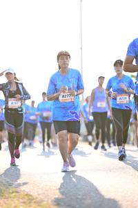 BIB: 827, 8239, 878
                            <button type="button" onclick="openModal(3415191)" class="btn btn-primary btn-sm float-right btn-popup" data-toggle="modal" data-target=".modal-high-quality">
                        <i class="fas fa-shopping-cart"></i> Add to Cart
                    </button>
                                            <button type="button" onclick="isThisMe(3415191, true)" class="btn btn-success btn-sm float-right btn-popup btn-isme hidden" data-toggle="tooltip" data-placement="bottom" title="นี่คือรูปของคุณใช่ไหม คลิกที่นี่เพื่อเอาเข้าอัลบั้ม">
                        <i class="fas fa-plus"></i> Add to album
                    </button>
                    <button type="button" onclick="isThisMe(3415191, false)" class="btn btn-warning btn-sm float-right btn-popup btn-isnotme hidden">
                        <i class="fas fa-ban"></i> Remove from album
                    </button>