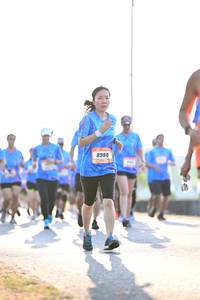 BIB: 8980
                            <button type="button" onclick="openModal(3413902)" class="btn btn-primary btn-sm float-right btn-popup" data-toggle="modal" data-target=".modal-high-quality">
                        <i class="fas fa-shopping-cart"></i> Add to Cart
                    </button>
                                            <button type="button" onclick="isThisMe(3413902, true)" class="btn btn-success btn-sm float-right btn-popup btn-isme hidden" data-toggle="tooltip" data-placement="bottom" title="นี่คือรูปของคุณใช่ไหม คลิกที่นี่เพื่อเอาเข้าอัลบั้ม">
                        <i class="fas fa-plus"></i> Add to album
                    </button>
                    <button type="button" onclick="isThisMe(3413902, false)" class="btn btn-warning btn-sm float-right btn-popup btn-isnotme hidden">
                        <i class="fas fa-ban"></i> Remove from album
                    </button>