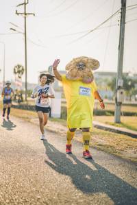 BIB: 6793
                            <button type="button" onclick="openModal(3233532)" class="btn btn-primary btn-sm float-right btn-popup" data-toggle="modal" data-target=".modal-high-quality">
                        <i class="fas fa-shopping-cart"></i> Add to Cart
                    </button>
                                            <button type="button" onclick="isThisMe(3233532, true)" class="btn btn-success btn-sm float-right btn-popup btn-isme hidden" data-toggle="tooltip" data-placement="bottom" title="นี่คือรูปของคุณใช่ไหม คลิกที่นี่เพื่อเอาเข้าอัลบั้ม">
                        <i class="fas fa-plus"></i> Add to album
                    </button>
                    <button type="button" onclick="isThisMe(3233532, false)" class="btn btn-warning btn-sm float-right btn-popup btn-isnotme hidden">
                        <i class="fas fa-ban"></i> Remove from album
                    </button>