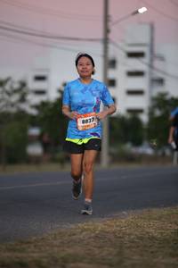 BIB: 8837
                            <button type="button" onclick="openModal(3147669)" class="btn btn-primary btn-sm float-right btn-popup" data-toggle="modal" data-target=".modal-high-quality">
                        <i class="fas fa-shopping-cart"></i> Add to Cart
                    </button>
                                            <button type="button" onclick="isThisMe(3147669, true)" class="btn btn-success btn-sm float-right btn-popup btn-isme hidden" data-toggle="tooltip" data-placement="bottom" title="นี่คือรูปของคุณใช่ไหม คลิกที่นี่เพื่อเอาเข้าอัลบั้ม">
                        <i class="fas fa-plus"></i> Add to album
                    </button>
                    <button type="button" onclick="isThisMe(3147669, false)" class="btn btn-warning btn-sm float-right btn-popup btn-isnotme hidden">
                        <i class="fas fa-ban"></i> Remove from album
                    </button>