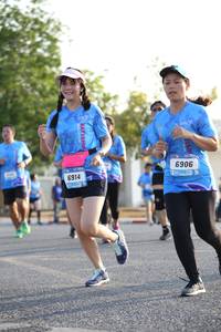 BIB: 6906, 6914
                            <button type="button" onclick="openModal(3140645)" class="btn btn-primary btn-sm float-right btn-popup" data-toggle="modal" data-target=".modal-high-quality">
                        <i class="fas fa-shopping-cart"></i> Add to Cart
                    </button>
                                            <button type="button" onclick="isThisMe(3140645, true)" class="btn btn-success btn-sm float-right btn-popup btn-isme hidden" data-toggle="tooltip" data-placement="bottom" title="นี่คือรูปของคุณใช่ไหม คลิกที่นี่เพื่อเอาเข้าอัลบั้ม">
                        <i class="fas fa-plus"></i> Add to album
                    </button>
                    <button type="button" onclick="isThisMe(3140645, false)" class="btn btn-warning btn-sm float-right btn-popup btn-isnotme hidden">
                        <i class="fas fa-ban"></i> Remove from album
                    </button>