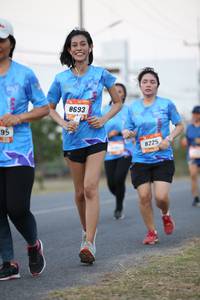 BIB: 8693, 8225
                            <button type="button" onclick="openModal(3146189)" class="btn btn-primary btn-sm float-right btn-popup" data-toggle="modal" data-target=".modal-high-quality">
                        <i class="fas fa-shopping-cart"></i> Add to Cart
                    </button>
                                            <button type="button" onclick="isThisMe(3146189, true)" class="btn btn-success btn-sm float-right btn-popup btn-isme hidden" data-toggle="tooltip" data-placement="bottom" title="นี่คือรูปของคุณใช่ไหม คลิกที่นี่เพื่อเอาเข้าอัลบั้ม">
                        <i class="fas fa-plus"></i> Add to album
                    </button>
                    <button type="button" onclick="isThisMe(3146189, false)" class="btn btn-warning btn-sm float-right btn-popup btn-isnotme hidden">
                        <i class="fas fa-ban"></i> Remove from album
                    </button>