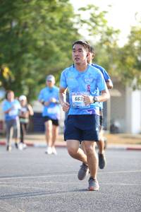 BIB: 663, 
                            <button type="button" onclick="openModal(3140308)" class="btn btn-primary btn-sm float-right btn-popup" data-toggle="modal" data-target=".modal-high-quality">
                        <i class="fas fa-shopping-cart"></i> Add to Cart
                    </button>
                                            <button type="button" onclick="isThisMe(3140308, true)" class="btn btn-success btn-sm float-right btn-popup btn-isme hidden" data-toggle="tooltip" data-placement="bottom" title="นี่คือรูปของคุณใช่ไหม คลิกที่นี่เพื่อเอาเข้าอัลบั้ม">
                        <i class="fas fa-plus"></i> Add to album
                    </button>
                    <button type="button" onclick="isThisMe(3140308, false)" class="btn btn-warning btn-sm float-right btn-popup btn-isnotme hidden">
                        <i class="fas fa-ban"></i> Remove from album
                    </button>