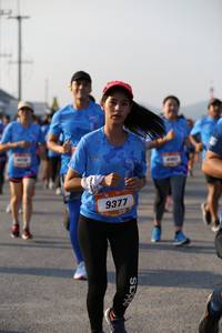 BIB: 9377
                            <button type="button" onclick="openModal(3153894)" class="btn btn-primary btn-sm float-right btn-popup" data-toggle="modal" data-target=".modal-high-quality">
                        <i class="fas fa-shopping-cart"></i> Add to Cart
                    </button>
                                            <button type="button" onclick="isThisMe(3153894, true)" class="btn btn-success btn-sm float-right btn-popup btn-isme hidden" data-toggle="tooltip" data-placement="bottom" title="นี่คือรูปของคุณใช่ไหม คลิกที่นี่เพื่อเอาเข้าอัลบั้ม">
                        <i class="fas fa-plus"></i> Add to album
                    </button>
                    <button type="button" onclick="isThisMe(3153894, false)" class="btn btn-warning btn-sm float-right btn-popup btn-isnotme hidden">
                        <i class="fas fa-ban"></i> Remove from album
                    </button>