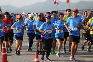 BIB: 605, 5691, 6123, 142, 6329
                            <button type="button" onclick="openModal(3153368)" class="btn btn-primary btn-sm float-right btn-popup" data-toggle="modal" data-target=".modal-high-quality">
                        <i class="fas fa-shopping-cart"></i> Add to Cart
                    </button>
                                            <button type="button" onclick="isThisMe(3153368, true)" class="btn btn-success btn-sm float-right btn-popup btn-isme hidden" data-toggle="tooltip" data-placement="bottom" title="นี่คือรูปของคุณใช่ไหม คลิกที่นี่เพื่อเอาเข้าอัลบั้ม">
                        <i class="fas fa-plus"></i> Add to album
                    </button>
                    <button type="button" onclick="isThisMe(3153368, false)" class="btn btn-warning btn-sm float-right btn-popup btn-isnotme hidden">
                        <i class="fas fa-ban"></i> Remove from album
                    </button>