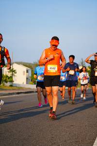 BIB: 9502
                            <button type="button" onclick="openModal(3379674)" class="btn btn-primary btn-sm float-right btn-popup" data-toggle="modal" data-target=".modal-high-quality">
                        <i class="fas fa-shopping-cart"></i> Add to Cart
                    </button>
                                            <button type="button" onclick="isThisMe(3379674, true)" class="btn btn-success btn-sm float-right btn-popup btn-isme hidden" data-toggle="tooltip" data-placement="bottom" title="นี่คือรูปของคุณใช่ไหม คลิกที่นี่เพื่อเอาเข้าอัลบั้ม">
                        <i class="fas fa-plus"></i> Add to album
                    </button>
                    <button type="button" onclick="isThisMe(3379674, false)" class="btn btn-warning btn-sm float-right btn-popup btn-isnotme hidden">
                        <i class="fas fa-ban"></i> Remove from album
                    </button>