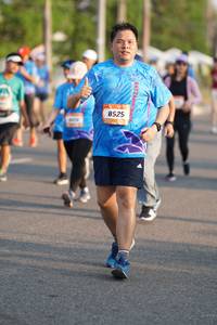 BIB: 8525
                            <button type="button" onclick="openModal(3297870)" class="btn btn-primary btn-sm float-right btn-popup" data-toggle="modal" data-target=".modal-high-quality">
                        <i class="fas fa-shopping-cart"></i> Add to Cart
                    </button>
                                            <button type="button" onclick="isThisMe(3297870, true)" class="btn btn-success btn-sm float-right btn-popup btn-isme hidden" data-toggle="tooltip" data-placement="bottom" title="นี่คือรูปของคุณใช่ไหม คลิกที่นี่เพื่อเอาเข้าอัลบั้ม">
                        <i class="fas fa-plus"></i> Add to album
                    </button>
                    <button type="button" onclick="isThisMe(3297870, false)" class="btn btn-warning btn-sm float-right btn-popup btn-isnotme hidden">
                        <i class="fas fa-ban"></i> Remove from album
                    </button>