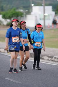 BIB: 8867, 9878
                            <button type="button" onclick="openModal(3326949)" class="btn btn-primary btn-sm float-right btn-popup" data-toggle="modal" data-target=".modal-high-quality">
                        <i class="fas fa-shopping-cart"></i> Add to Cart
                    </button>
                                            <button type="button" onclick="isThisMe(3326949, true)" class="btn btn-success btn-sm float-right btn-popup btn-isme hidden" data-toggle="tooltip" data-placement="bottom" title="นี่คือรูปของคุณใช่ไหม คลิกที่นี่เพื่อเอาเข้าอัลบั้ม">
                        <i class="fas fa-plus"></i> Add to album
                    </button>
                    <button type="button" onclick="isThisMe(3326949, false)" class="btn btn-warning btn-sm float-right btn-popup btn-isnotme hidden">
                        <i class="fas fa-ban"></i> Remove from album
                    </button>