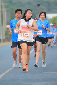 BIB: 3137, 8509
                            <button type="button" onclick="openModal(3225041)" class="btn btn-primary btn-sm float-right btn-popup" data-toggle="modal" data-target=".modal-high-quality">
                        <i class="fas fa-shopping-cart"></i> Add to Cart
                    </button>
                                            <button type="button" onclick="isThisMe(3225041, true)" class="btn btn-success btn-sm float-right btn-popup btn-isme hidden" data-toggle="tooltip" data-placement="bottom" title="นี่คือรูปของคุณใช่ไหม คลิกที่นี่เพื่อเอาเข้าอัลบั้ม">
                        <i class="fas fa-plus"></i> Add to album
                    </button>
                    <button type="button" onclick="isThisMe(3225041, false)" class="btn btn-warning btn-sm float-right btn-popup btn-isnotme hidden">
                        <i class="fas fa-ban"></i> Remove from album
                    </button>