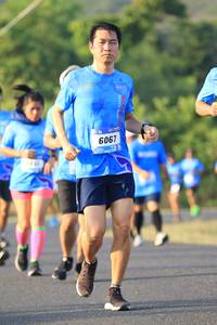 BIB: 
                            <button type="button" onclick="openModal(3190286)" class="btn btn-primary btn-sm float-right btn-popup" data-toggle="modal" data-target=".modal-high-quality">
                        <i class="fas fa-shopping-cart"></i> Add to Cart
                    </button>
                                            <button type="button" onclick="isThisMe(3190286, true)" class="btn btn-success btn-sm float-right btn-popup btn-isme hidden" data-toggle="tooltip" data-placement="bottom" title="นี่คือรูปของคุณใช่ไหม คลิกที่นี่เพื่อเอาเข้าอัลบั้ม">
                        <i class="fas fa-plus"></i> Add to album
                    </button>
                    <button type="button" onclick="isThisMe(3190286, false)" class="btn btn-warning btn-sm float-right btn-popup btn-isnotme hidden">
                        <i class="fas fa-ban"></i> Remove from album
                    </button>