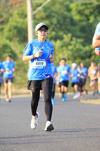 BIB: 6019
                            <button type="button" onclick="openModal(3184711)" class="btn btn-primary btn-sm float-right btn-popup" data-toggle="modal" data-target=".modal-high-quality">
                        <i class="fas fa-shopping-cart"></i> Add to Cart
                    </button>
                                            <button type="button" onclick="isThisMe(3184711, true)" class="btn btn-success btn-sm float-right btn-popup btn-isme hidden" data-toggle="tooltip" data-placement="bottom" title="นี่คือรูปของคุณใช่ไหม คลิกที่นี่เพื่อเอาเข้าอัลบั้ม">
                        <i class="fas fa-plus"></i> Add to album
                    </button>
                    <button type="button" onclick="isThisMe(3184711, false)" class="btn btn-warning btn-sm float-right btn-popup btn-isnotme hidden">
                        <i class="fas fa-ban"></i> Remove from album
                    </button>