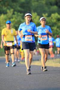 BIB: 8664, 8860
                            <button type="button" onclick="openModal(3213980)" class="btn btn-primary btn-sm float-right btn-popup" data-toggle="modal" data-target=".modal-high-quality">
                        <i class="fas fa-shopping-cart"></i> Add to Cart
                    </button>
                                            <button type="button" onclick="isThisMe(3213980, true)" class="btn btn-success btn-sm float-right btn-popup btn-isme hidden" data-toggle="tooltip" data-placement="bottom" title="นี่คือรูปของคุณใช่ไหม คลิกที่นี่เพื่อเอาเข้าอัลบั้ม">
                        <i class="fas fa-plus"></i> Add to album
                    </button>
                    <button type="button" onclick="isThisMe(3213980, false)" class="btn btn-warning btn-sm float-right btn-popup btn-isnotme hidden">
                        <i class="fas fa-ban"></i> Remove from album
                    </button>