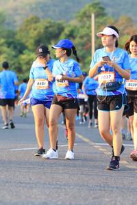 BIB: 8037, 8464, 9339
                            <button type="button" onclick="openModal(3217366)" class="btn btn-primary btn-sm float-right btn-popup" data-toggle="modal" data-target=".modal-high-quality">
                        <i class="fas fa-shopping-cart"></i> Add to Cart
                    </button>
                                            <button type="button" onclick="isThisMe(3217366, true)" class="btn btn-success btn-sm float-right btn-popup btn-isme hidden" data-toggle="tooltip" data-placement="bottom" title="นี่คือรูปของคุณใช่ไหม คลิกที่นี่เพื่อเอาเข้าอัลบั้ม">
                        <i class="fas fa-plus"></i> Add to album
                    </button>
                    <button type="button" onclick="isThisMe(3217366, false)" class="btn btn-warning btn-sm float-right btn-popup btn-isnotme hidden">
                        <i class="fas fa-ban"></i> Remove from album
                    </button>