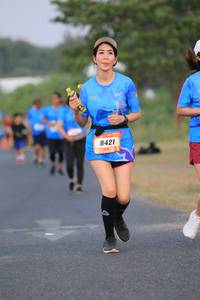 BIB: 8421
                            <button type="button" onclick="openModal(3231199)" class="btn btn-primary btn-sm float-right btn-popup" data-toggle="modal" data-target=".modal-high-quality">
                        <i class="fas fa-shopping-cart"></i> Add to Cart
                    </button>
                                            <button type="button" onclick="isThisMe(3231199, true)" class="btn btn-success btn-sm float-right btn-popup btn-isme hidden" data-toggle="tooltip" data-placement="bottom" title="นี่คือรูปของคุณใช่ไหม คลิกที่นี่เพื่อเอาเข้าอัลบั้ม">
                        <i class="fas fa-plus"></i> Add to album
                    </button>
                    <button type="button" onclick="isThisMe(3231199, false)" class="btn btn-warning btn-sm float-right btn-popup btn-isnotme hidden">
                        <i class="fas fa-ban"></i> Remove from album
                    </button>