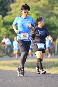 BIB: 8461, 6612
                            <button type="button" onclick="openModal(3205062)" class="btn btn-primary btn-sm float-right btn-popup" data-toggle="modal" data-target=".modal-high-quality">
                        <i class="fas fa-shopping-cart"></i> Add to Cart
                    </button>
                                            <button type="button" onclick="isThisMe(3205062, true)" class="btn btn-success btn-sm float-right btn-popup btn-isme hidden" data-toggle="tooltip" data-placement="bottom" title="นี่คือรูปของคุณใช่ไหม คลิกที่นี่เพื่อเอาเข้าอัลบั้ม">
                        <i class="fas fa-plus"></i> Add to album
                    </button>
                    <button type="button" onclick="isThisMe(3205062, false)" class="btn btn-warning btn-sm float-right btn-popup btn-isnotme hidden">
                        <i class="fas fa-ban"></i> Remove from album
                    </button>