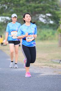 BIB: 9552, 8542
                            <button type="button" onclick="openModal(3230420)" class="btn btn-primary btn-sm float-right btn-popup" data-toggle="modal" data-target=".modal-high-quality">
                        <i class="fas fa-shopping-cart"></i> Add to Cart
                    </button>
                                            <button type="button" onclick="isThisMe(3230420, true)" class="btn btn-success btn-sm float-right btn-popup btn-isme hidden" data-toggle="tooltip" data-placement="bottom" title="นี่คือรูปของคุณใช่ไหม คลิกที่นี่เพื่อเอาเข้าอัลบั้ม">
                        <i class="fas fa-plus"></i> Add to album
                    </button>
                    <button type="button" onclick="isThisMe(3230420, false)" class="btn btn-warning btn-sm float-right btn-popup btn-isnotme hidden">
                        <i class="fas fa-ban"></i> Remove from album
                    </button>