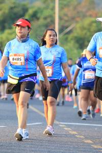 BIB: 8485
                            <button type="button" onclick="openModal(3219017)" class="btn btn-primary btn-sm float-right btn-popup" data-toggle="modal" data-target=".modal-high-quality">
                        <i class="fas fa-shopping-cart"></i> Add to Cart
                    </button>
                                            <button type="button" onclick="isThisMe(3219017, true)" class="btn btn-success btn-sm float-right btn-popup btn-isme hidden" data-toggle="tooltip" data-placement="bottom" title="นี่คือรูปของคุณใช่ไหม คลิกที่นี่เพื่อเอาเข้าอัลบั้ม">
                        <i class="fas fa-plus"></i> Add to album
                    </button>
                    <button type="button" onclick="isThisMe(3219017, false)" class="btn btn-warning btn-sm float-right btn-popup btn-isnotme hidden">
                        <i class="fas fa-ban"></i> Remove from album
                    </button>