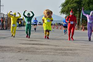 BIB: 
                            <button type="button" onclick="openModal(3092522)" class="btn btn-primary btn-sm float-right btn-popup" data-toggle="modal" data-target=".modal-high-quality">
                        <i class="fas fa-shopping-cart"></i> Add to Cart
                    </button>
                                            <button type="button" onclick="isThisMe(3092522, true)" class="btn btn-success btn-sm float-right btn-popup btn-isme hidden" data-toggle="tooltip" data-placement="bottom" title="นี่คือรูปของคุณใช่ไหม คลิกที่นี่เพื่อเอาเข้าอัลบั้ม">
                        <i class="fas fa-plus"></i> Add to album
                    </button>
                    <button type="button" onclick="isThisMe(3092522, false)" class="btn btn-warning btn-sm float-right btn-popup btn-isnotme hidden">
                        <i class="fas fa-ban"></i> Remove from album
                    </button>