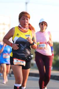 BIB: 733, 324
                            <button type="button" onclick="openModal(3220204)" class="btn btn-primary btn-sm float-right btn-popup" data-toggle="modal" data-target=".modal-high-quality">
                        <i class="fas fa-shopping-cart"></i> Add to Cart
                    </button>
                                            <button type="button" onclick="isThisMe(3220204, true)" class="btn btn-success btn-sm float-right btn-popup btn-isme hidden" data-toggle="tooltip" data-placement="bottom" title="นี่คือรูปของคุณใช่ไหม คลิกที่นี่เพื่อเอาเข้าอัลบั้ม">
                        <i class="fas fa-plus"></i> Add to album
                    </button>
                    <button type="button" onclick="isThisMe(3220204, false)" class="btn btn-warning btn-sm float-right btn-popup btn-isnotme hidden">
                        <i class="fas fa-ban"></i> Remove from album
                    </button>