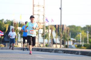 BIB: 9104
                            <button type="button" onclick="openModal(3213201)" class="btn btn-primary btn-sm float-right btn-popup" data-toggle="modal" data-target=".modal-high-quality">
                        <i class="fas fa-shopping-cart"></i> Add to Cart
                    </button>
                                            <button type="button" onclick="isThisMe(3213201, true)" class="btn btn-success btn-sm float-right btn-popup btn-isme hidden" data-toggle="tooltip" data-placement="bottom" title="นี่คือรูปของคุณใช่ไหม คลิกที่นี่เพื่อเอาเข้าอัลบั้ม">
                        <i class="fas fa-plus"></i> Add to album
                    </button>
                    <button type="button" onclick="isThisMe(3213201, false)" class="btn btn-warning btn-sm float-right btn-popup btn-isnotme hidden">
                        <i class="fas fa-ban"></i> Remove from album
                    </button>