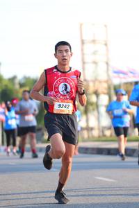 BIB: 9342
                            <button type="button" onclick="openModal(3210397)" class="btn btn-primary btn-sm float-right btn-popup" data-toggle="modal" data-target=".modal-high-quality">
                        <i class="fas fa-shopping-cart"></i> Add to Cart
                    </button>
                                            <button type="button" onclick="isThisMe(3210397, true)" class="btn btn-success btn-sm float-right btn-popup btn-isme hidden" data-toggle="tooltip" data-placement="bottom" title="นี่คือรูปของคุณใช่ไหม คลิกที่นี่เพื่อเอาเข้าอัลบั้ม">
                        <i class="fas fa-plus"></i> Add to album
                    </button>
                    <button type="button" onclick="isThisMe(3210397, false)" class="btn btn-warning btn-sm float-right btn-popup btn-isnotme hidden">
                        <i class="fas fa-ban"></i> Remove from album
                    </button>