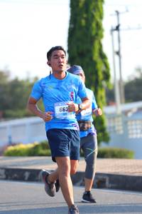 BIB: 663, 
                            <button type="button" onclick="openModal(3195513)" class="btn btn-primary btn-sm float-right btn-popup" data-toggle="modal" data-target=".modal-high-quality">
                        <i class="fas fa-shopping-cart"></i> Add to Cart
                    </button>
                                            <button type="button" onclick="isThisMe(3195513, true)" class="btn btn-success btn-sm float-right btn-popup btn-isme hidden" data-toggle="tooltip" data-placement="bottom" title="นี่คือรูปของคุณใช่ไหม คลิกที่นี่เพื่อเอาเข้าอัลบั้ม">
                        <i class="fas fa-plus"></i> Add to album
                    </button>
                    <button type="button" onclick="isThisMe(3195513, false)" class="btn btn-warning btn-sm float-right btn-popup btn-isnotme hidden">
                        <i class="fas fa-ban"></i> Remove from album
                    </button>