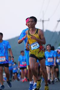 BIB: 6437, 8673
                            <button type="button" onclick="openModal(3237433)" class="btn btn-primary btn-sm float-right btn-popup" data-toggle="modal" data-target=".modal-high-quality">
                        <i class="fas fa-shopping-cart"></i> Add to Cart
                    </button>
                                            <button type="button" onclick="isThisMe(3237433, true)" class="btn btn-success btn-sm float-right btn-popup btn-isme hidden" data-toggle="tooltip" data-placement="bottom" title="นี่คือรูปของคุณใช่ไหม คลิกที่นี่เพื่อเอาเข้าอัลบั้ม">
                        <i class="fas fa-plus"></i> Add to album
                    </button>
                    <button type="button" onclick="isThisMe(3237433, false)" class="btn btn-warning btn-sm float-right btn-popup btn-isnotme hidden">
                        <i class="fas fa-ban"></i> Remove from album
                    </button>