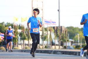 BIB: 8461
                            <button type="button" onclick="openModal(3211587)" class="btn btn-primary btn-sm float-right btn-popup" data-toggle="modal" data-target=".modal-high-quality">
                        <i class="fas fa-shopping-cart"></i> Add to Cart
                    </button>
                                            <button type="button" onclick="isThisMe(3211587, true)" class="btn btn-success btn-sm float-right btn-popup btn-isme hidden" data-toggle="tooltip" data-placement="bottom" title="นี่คือรูปของคุณใช่ไหม คลิกที่นี่เพื่อเอาเข้าอัลบั้ม">
                        <i class="fas fa-plus"></i> Add to album
                    </button>
                    <button type="button" onclick="isThisMe(3211587, false)" class="btn btn-warning btn-sm float-right btn-popup btn-isnotme hidden">
                        <i class="fas fa-ban"></i> Remove from album
                    </button>