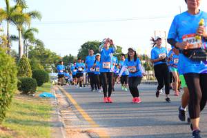 BIB: 
                            <button type="button" onclick="openModal(3224432)" class="btn btn-primary btn-sm float-right btn-popup" data-toggle="modal" data-target=".modal-high-quality">
                        <i class="fas fa-shopping-cart"></i> Add to Cart
                    </button>
                                            <button type="button" onclick="isThisMe(3224432, true)" class="btn btn-success btn-sm float-right btn-popup btn-isme hidden" data-toggle="tooltip" data-placement="bottom" title="นี่คือรูปของคุณใช่ไหม คลิกที่นี่เพื่อเอาเข้าอัลบั้ม">
                        <i class="fas fa-plus"></i> Add to album
                    </button>
                    <button type="button" onclick="isThisMe(3224432, false)" class="btn btn-warning btn-sm float-right btn-popup btn-isnotme hidden">
                        <i class="fas fa-ban"></i> Remove from album
                    </button>