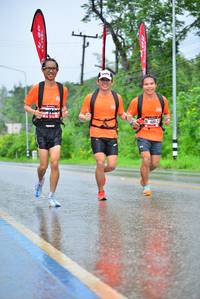 BIB: 
                            <button type="button" onclick="openModal(5667771)" class="btn btn-primary btn-sm float-right btn-popup" data-toggle="modal" data-target=".modal-high-quality">
                        <i class="fas fa-shopping-cart"></i> Add to Cart
                    </button>
                                            <button type="button" onclick="isThisMe(5667771, true)" class="btn btn-success btn-sm float-right btn-popup btn-isme hidden" data-toggle="tooltip" data-placement="bottom" title="นี่คือรูปของคุณใช่ไหม คลิกที่นี่เพื่อเอาเข้าอัลบั้ม">
                        <i class="fas fa-plus"></i> Add to album
                    </button>
                    <button type="button" onclick="isThisMe(5667771, false)" class="btn btn-warning btn-sm float-right btn-popup btn-isnotme hidden">
                        <i class="fas fa-ban"></i> Remove from album
                    </button>