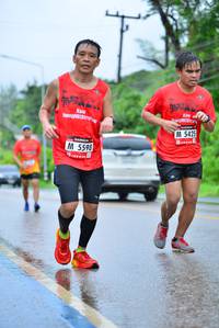 BIB: 5425, 5598
                            <button type="button" onclick="openModal(5686229)" class="btn btn-primary btn-sm float-right btn-popup" data-toggle="modal" data-target=".modal-high-quality">
                        <i class="fas fa-shopping-cart"></i> Add to Cart
                    </button>
                                            <button type="button" onclick="isThisMe(5686229, true)" class="btn btn-success btn-sm float-right btn-popup btn-isme hidden" data-toggle="tooltip" data-placement="bottom" title="นี่คือรูปของคุณใช่ไหม คลิกที่นี่เพื่อเอาเข้าอัลบั้ม">
                        <i class="fas fa-plus"></i> Add to album
                    </button>
                    <button type="button" onclick="isThisMe(5686229, false)" class="btn btn-warning btn-sm float-right btn-popup btn-isnotme hidden">
                        <i class="fas fa-ban"></i> Remove from album
                    </button>