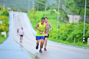 BIB: 5683
                            <button type="button" onclick="openModal(5653108)" class="btn btn-primary btn-sm float-right btn-popup" data-toggle="modal" data-target=".modal-high-quality">
                        <i class="fas fa-shopping-cart"></i> Add to Cart
                    </button>
                                            <button type="button" onclick="isThisMe(5653108, true)" class="btn btn-success btn-sm float-right btn-popup btn-isme hidden" data-toggle="tooltip" data-placement="bottom" title="นี่คือรูปของคุณใช่ไหม คลิกที่นี่เพื่อเอาเข้าอัลบั้ม">
                        <i class="fas fa-plus"></i> Add to album
                    </button>
                    <button type="button" onclick="isThisMe(5653108, false)" class="btn btn-warning btn-sm float-right btn-popup btn-isnotme hidden">
                        <i class="fas fa-ban"></i> Remove from album
                    </button>