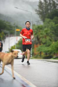 BIB: 1581
                            <button type="button" onclick="openModal(5780504)" class="btn btn-primary btn-sm float-right btn-popup" data-toggle="modal" data-target=".modal-high-quality">
                        <i class="fas fa-shopping-cart"></i> Add to Cart
                    </button>
                                            <button type="button" onclick="isThisMe(5780504, true)" class="btn btn-success btn-sm float-right btn-popup btn-isme hidden" data-toggle="tooltip" data-placement="bottom" title="นี่คือรูปของคุณใช่ไหม คลิกที่นี่เพื่อเอาเข้าอัลบั้ม">
                        <i class="fas fa-plus"></i> Add to album
                    </button>
                    <button type="button" onclick="isThisMe(5780504, false)" class="btn btn-warning btn-sm float-right btn-popup btn-isnotme hidden">
                        <i class="fas fa-ban"></i> Remove from album
                    </button>