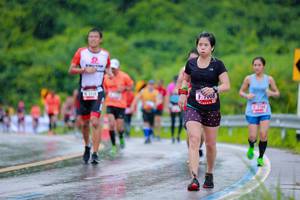 BIB: 
                            <button type="button" onclick="openModal(5721587)" class="btn btn-primary btn-sm float-right btn-popup" data-toggle="modal" data-target=".modal-high-quality">
                        <i class="fas fa-shopping-cart"></i> Add to Cart
                    </button>
                                            <button type="button" onclick="isThisMe(5721587, true)" class="btn btn-success btn-sm float-right btn-popup btn-isme hidden" data-toggle="tooltip" data-placement="bottom" title="นี่คือรูปของคุณใช่ไหม คลิกที่นี่เพื่อเอาเข้าอัลบั้ม">
                        <i class="fas fa-plus"></i> Add to album
                    </button>
                    <button type="button" onclick="isThisMe(5721587, false)" class="btn btn-warning btn-sm float-right btn-popup btn-isnotme hidden">
                        <i class="fas fa-ban"></i> Remove from album
                    </button>