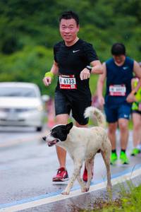 BIB: 6133
                            <button type="button" onclick="openModal(5720065)" class="btn btn-primary btn-sm float-right btn-popup" data-toggle="modal" data-target=".modal-high-quality">
                        <i class="fas fa-shopping-cart"></i> Add to Cart
                    </button>
                                            <button type="button" onclick="isThisMe(5720065, true)" class="btn btn-success btn-sm float-right btn-popup btn-isme hidden" data-toggle="tooltip" data-placement="bottom" title="นี่คือรูปของคุณใช่ไหม คลิกที่นี่เพื่อเอาเข้าอัลบั้ม">
                        <i class="fas fa-plus"></i> Add to album
                    </button>
                    <button type="button" onclick="isThisMe(5720065, false)" class="btn btn-warning btn-sm float-right btn-popup btn-isnotme hidden">
                        <i class="fas fa-ban"></i> Remove from album
                    </button>