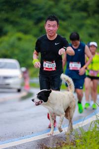 BIB: 6133
                            <button type="button" onclick="openModal(5720064)" class="btn btn-primary btn-sm float-right btn-popup" data-toggle="modal" data-target=".modal-high-quality">
                        <i class="fas fa-shopping-cart"></i> Add to Cart
                    </button>
                                            <button type="button" onclick="isThisMe(5720064, true)" class="btn btn-success btn-sm float-right btn-popup btn-isme hidden" data-toggle="tooltip" data-placement="bottom" title="นี่คือรูปของคุณใช่ไหม คลิกที่นี่เพื่อเอาเข้าอัลบั้ม">
                        <i class="fas fa-plus"></i> Add to album
                    </button>
                    <button type="button" onclick="isThisMe(5720064, false)" class="btn btn-warning btn-sm float-right btn-popup btn-isnotme hidden">
                        <i class="fas fa-ban"></i> Remove from album
                    </button>