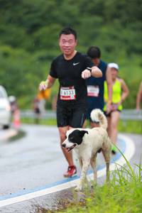 BIB: 6133
                            <button type="button" onclick="openModal(5530270)" class="btn btn-primary btn-sm float-right btn-popup" data-toggle="modal" data-target=".modal-high-quality">
                        <i class="fas fa-shopping-cart"></i> Add to Cart
                    </button>
                                            <button type="button" onclick="isThisMe(5530270, true)" class="btn btn-success btn-sm float-right btn-popup btn-isme hidden" data-toggle="tooltip" data-placement="bottom" title="นี่คือรูปของคุณใช่ไหม คลิกที่นี่เพื่อเอาเข้าอัลบั้ม">
                        <i class="fas fa-plus"></i> Add to album
                    </button>
                    <button type="button" onclick="isThisMe(5530270, false)" class="btn btn-warning btn-sm float-right btn-popup btn-isnotme hidden">
                        <i class="fas fa-ban"></i> Remove from album
                    </button>