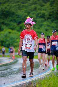 BIB: 5716
                            <button type="button" onclick="openModal(5723990)" class="btn btn-primary btn-sm float-right btn-popup" data-toggle="modal" data-target=".modal-high-quality">
                        <i class="fas fa-shopping-cart"></i> Add to Cart
                    </button>
                                            <button type="button" onclick="isThisMe(5723990, true)" class="btn btn-success btn-sm float-right btn-popup btn-isme hidden" data-toggle="tooltip" data-placement="bottom" title="นี่คือรูปของคุณใช่ไหม คลิกที่นี่เพื่อเอาเข้าอัลบั้ม">
                        <i class="fas fa-plus"></i> Add to album
                    </button>
                    <button type="button" onclick="isThisMe(5723990, false)" class="btn btn-warning btn-sm float-right btn-popup btn-isnotme hidden">
                        <i class="fas fa-ban"></i> Remove from album
                    </button>