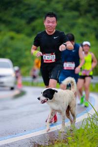 BIB: 6133
                            <button type="button" onclick="openModal(5720061)" class="btn btn-primary btn-sm float-right btn-popup" data-toggle="modal" data-target=".modal-high-quality">
                        <i class="fas fa-shopping-cart"></i> Add to Cart
                    </button>
                                            <button type="button" onclick="isThisMe(5720061, true)" class="btn btn-success btn-sm float-right btn-popup btn-isme hidden" data-toggle="tooltip" data-placement="bottom" title="นี่คือรูปของคุณใช่ไหม คลิกที่นี่เพื่อเอาเข้าอัลบั้ม">
                        <i class="fas fa-plus"></i> Add to album
                    </button>
                    <button type="button" onclick="isThisMe(5720061, false)" class="btn btn-warning btn-sm float-right btn-popup btn-isnotme hidden">
                        <i class="fas fa-ban"></i> Remove from album
                    </button>