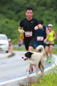 BIB: 6133
                            <button type="button" onclick="openModal(5530273)" class="btn btn-primary btn-sm float-right btn-popup" data-toggle="modal" data-target=".modal-high-quality">
                        <i class="fas fa-shopping-cart"></i> Add to Cart
                    </button>
                                            <button type="button" onclick="isThisMe(5530273, true)" class="btn btn-success btn-sm float-right btn-popup btn-isme hidden" data-toggle="tooltip" data-placement="bottom" title="นี่คือรูปของคุณใช่ไหม คลิกที่นี่เพื่อเอาเข้าอัลบั้ม">
                        <i class="fas fa-plus"></i> Add to album
                    </button>
                    <button type="button" onclick="isThisMe(5530273, false)" class="btn btn-warning btn-sm float-right btn-popup btn-isnotme hidden">
                        <i class="fas fa-ban"></i> Remove from album
                    </button>