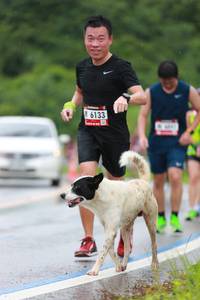 BIB: 6133
                            <button type="button" onclick="openModal(5530274)" class="btn btn-primary btn-sm float-right btn-popup" data-toggle="modal" data-target=".modal-high-quality">
                        <i class="fas fa-shopping-cart"></i> Add to Cart
                    </button>
                                            <button type="button" onclick="isThisMe(5530274, true)" class="btn btn-success btn-sm float-right btn-popup btn-isme hidden" data-toggle="tooltip" data-placement="bottom" title="นี่คือรูปของคุณใช่ไหม คลิกที่นี่เพื่อเอาเข้าอัลบั้ม">
                        <i class="fas fa-plus"></i> Add to album
                    </button>
                    <button type="button" onclick="isThisMe(5530274, false)" class="btn btn-warning btn-sm float-right btn-popup btn-isnotme hidden">
                        <i class="fas fa-ban"></i> Remove from album
                    </button>