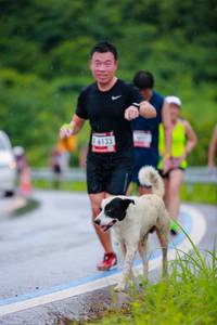 BIB: 6133
                            <button type="button" onclick="openModal(5720062)" class="btn btn-primary btn-sm float-right btn-popup" data-toggle="modal" data-target=".modal-high-quality">
                        <i class="fas fa-shopping-cart"></i> Add to Cart
                    </button>
                                            <button type="button" onclick="isThisMe(5720062, true)" class="btn btn-success btn-sm float-right btn-popup btn-isme hidden" data-toggle="tooltip" data-placement="bottom" title="นี่คือรูปของคุณใช่ไหม คลิกที่นี่เพื่อเอาเข้าอัลบั้ม">
                        <i class="fas fa-plus"></i> Add to album
                    </button>
                    <button type="button" onclick="isThisMe(5720062, false)" class="btn btn-warning btn-sm float-right btn-popup btn-isnotme hidden">
                        <i class="fas fa-ban"></i> Remove from album
                    </button>